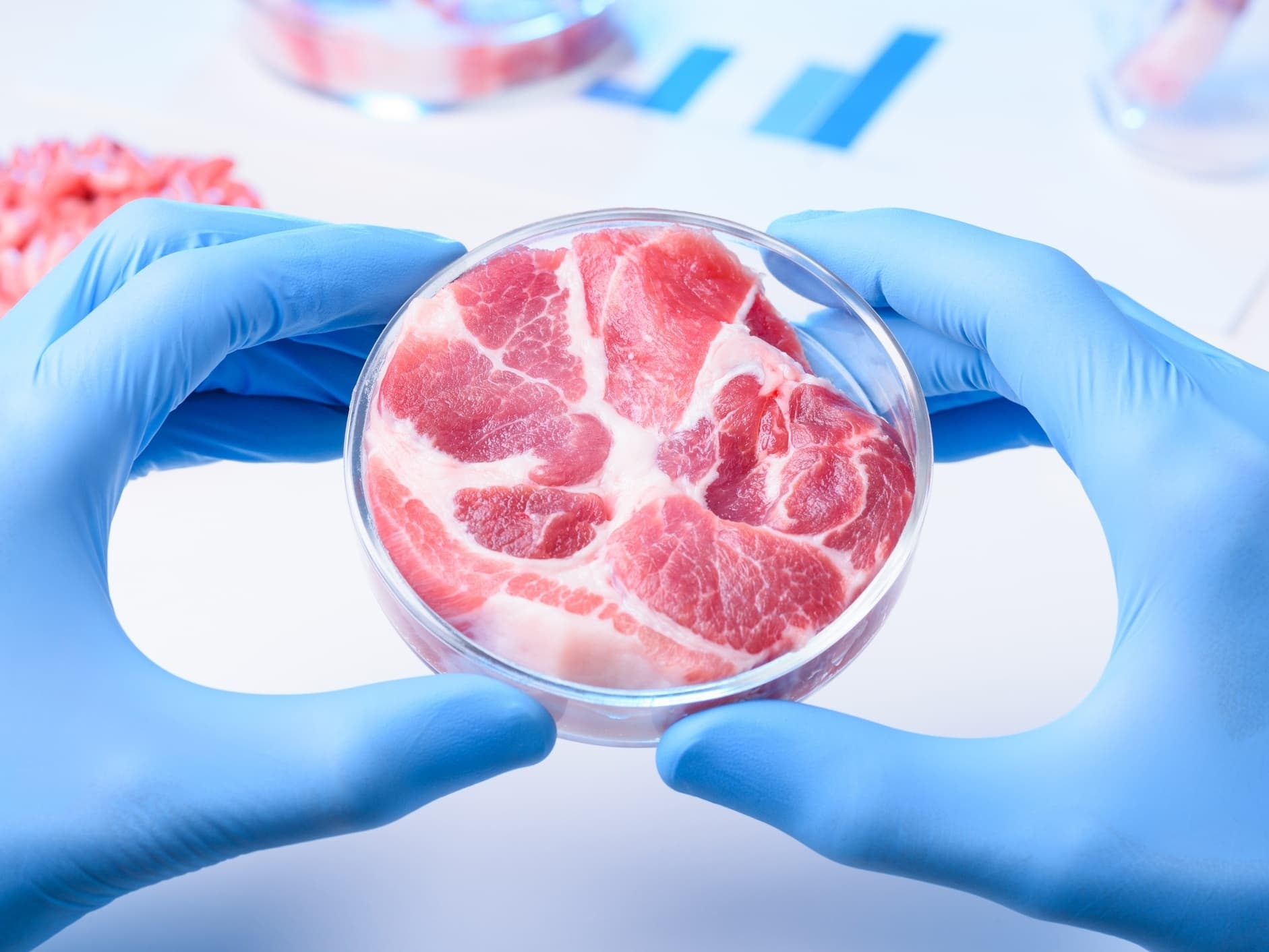 Embrapa Inova em Carne Cultivada: Pesquisa Avança Rumo a Protótipos e Regulamentação