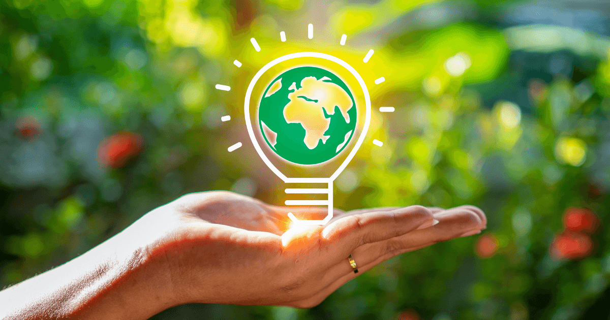 Economia Circular Revoluciona a Cadeia de Proteína Animal no Brasil