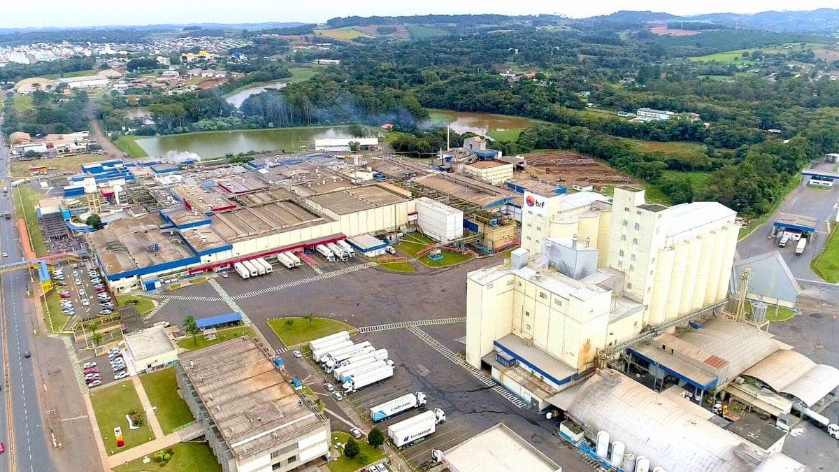Da Rivalidade em SC ao Império Global: A Saga Sadia e Perdigão